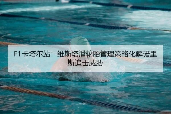 F1卡塔尔站：维斯塔潘轮胎管理策略化解诺里斯追击威胁