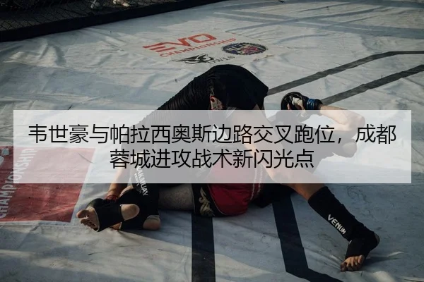 韦世豪与帕拉西奥斯边路交叉跑位，成都蓉城进攻战术新闪光点