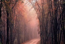 乐鱼体育：[图]唐斯23+7布里奇斯28分 尼克斯大胜送热火八连败.