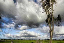 危马卡：库尔图瓦卢宁均带伤，皇马对瓦伦枪手可能上梯队门将.