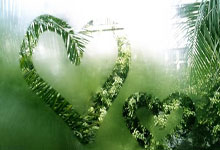 11战4胜，湖人如何保住前4？洛媒列3大因素：老詹无缘东契奇入选.